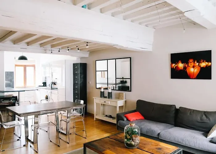 Magnifique Duplex De 90M² Au Coeur De Lille